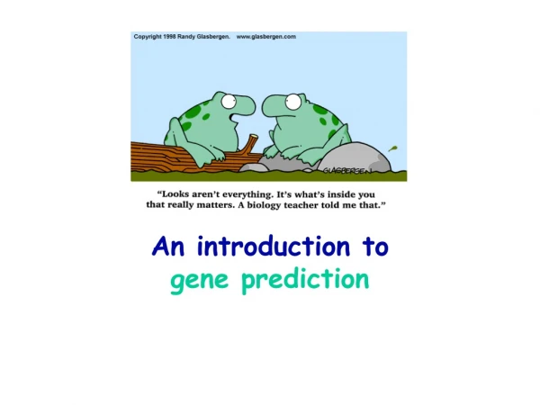 An introduction to  gene prediction