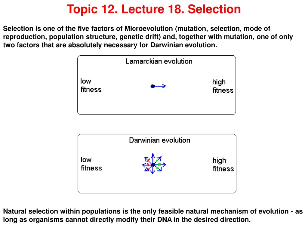 topic 12 lecture 18 selection selection