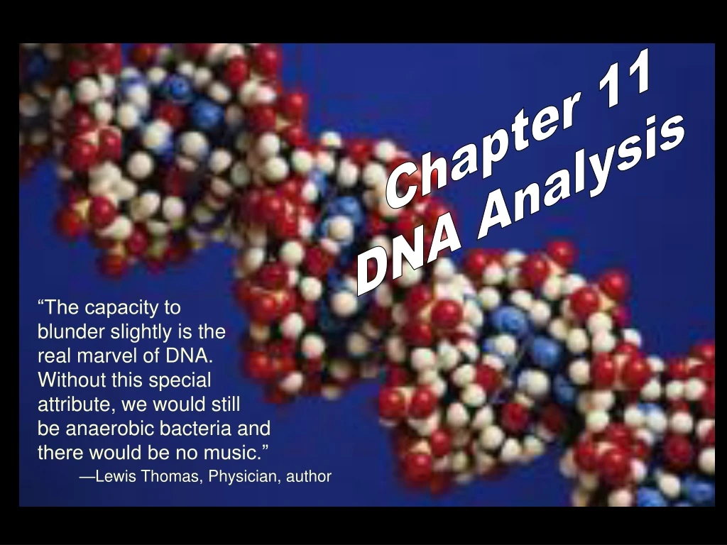 chapter 11 dna analysis