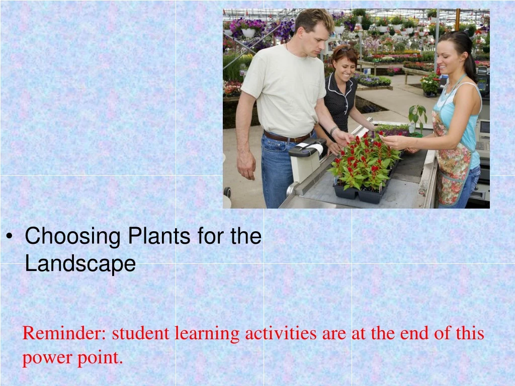 choosing plants for the landscape