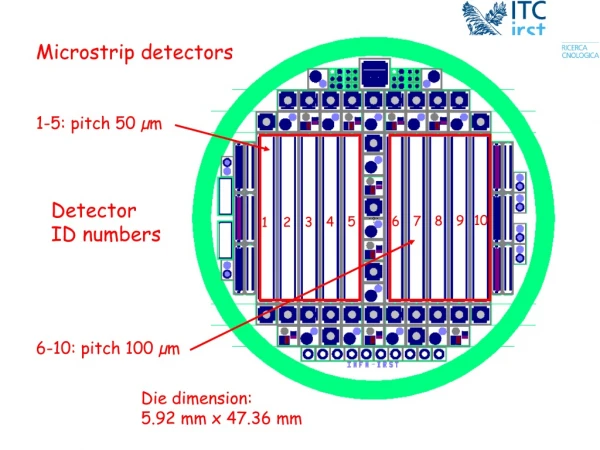 6-10: pitch 100 µm