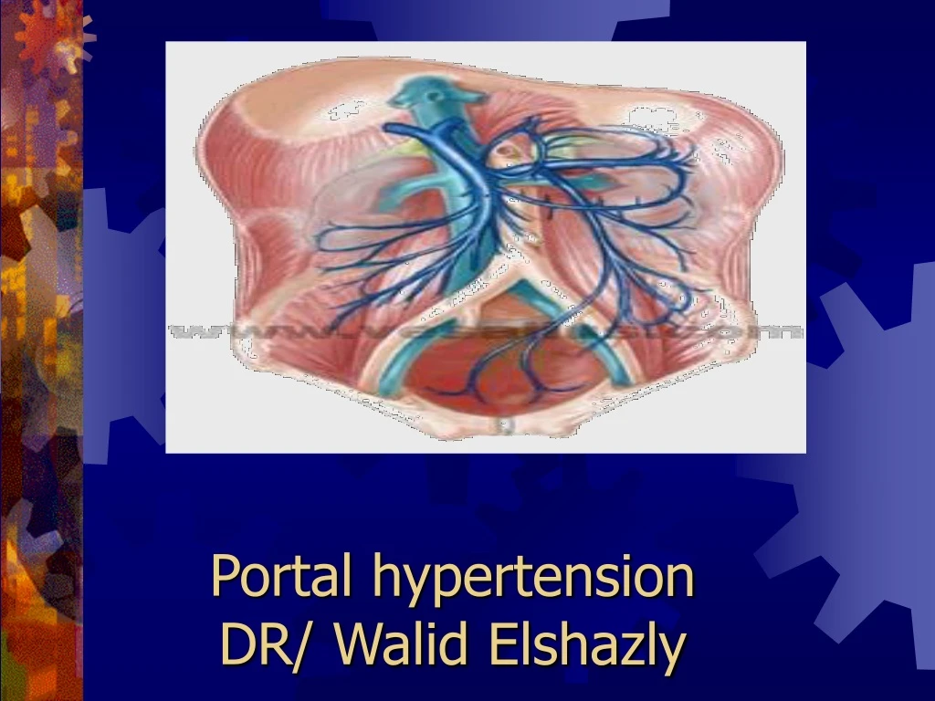 portal hypertension dr walid elshazly