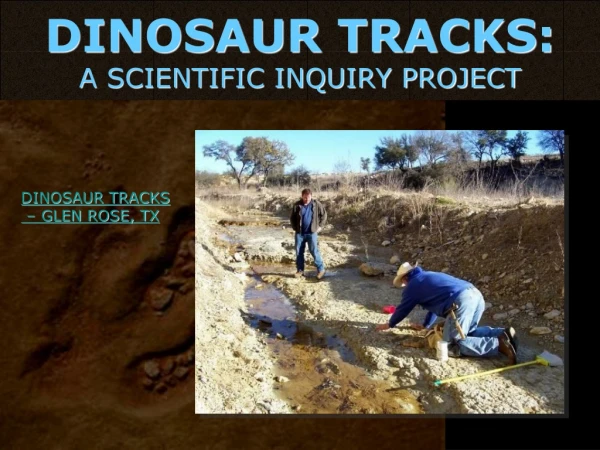 DINOSAUR TRACKS: A SCIENTIFIC INQUIRY PROJECT