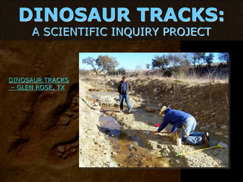 dinosaur tracks a scientific inquiry project