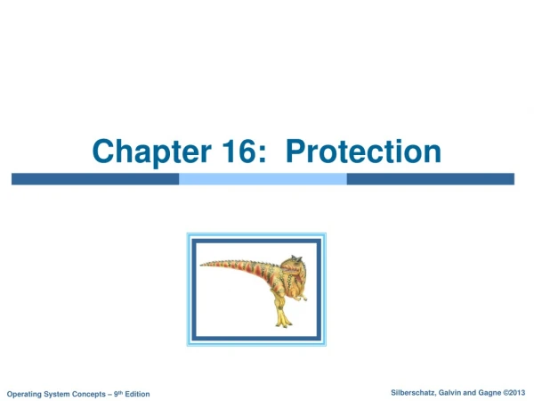 Chapter 16:  Protection