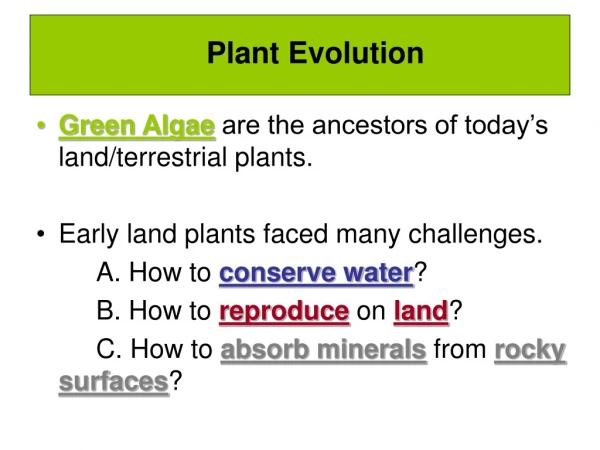 Green Algae  are the ancestors of today’s land/terrestrial plants.