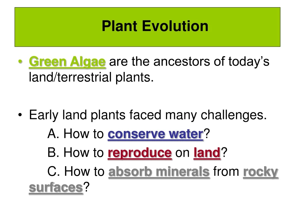 plant evolution