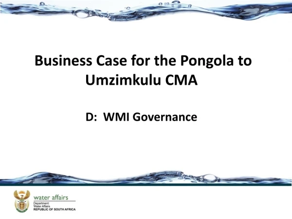 Business Case for the Pongola to  Umzimkulu  CMA D:  WMI Governance