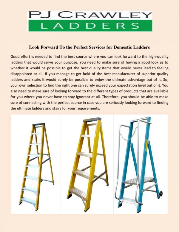 Look Forward To the Perfect Services for Domestic Ladders