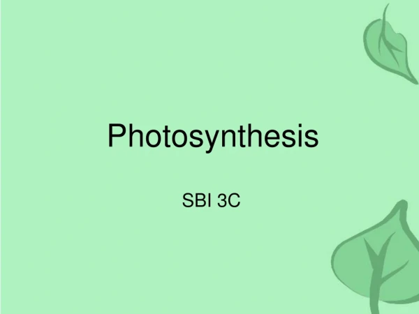 Photosynthesis