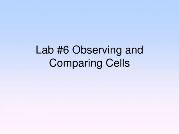 Lab #6 Observing and Comparing Cells