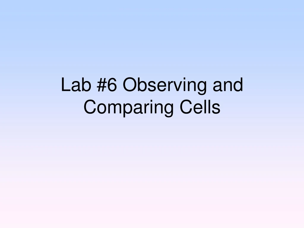 lab 6 observing and comparing cells