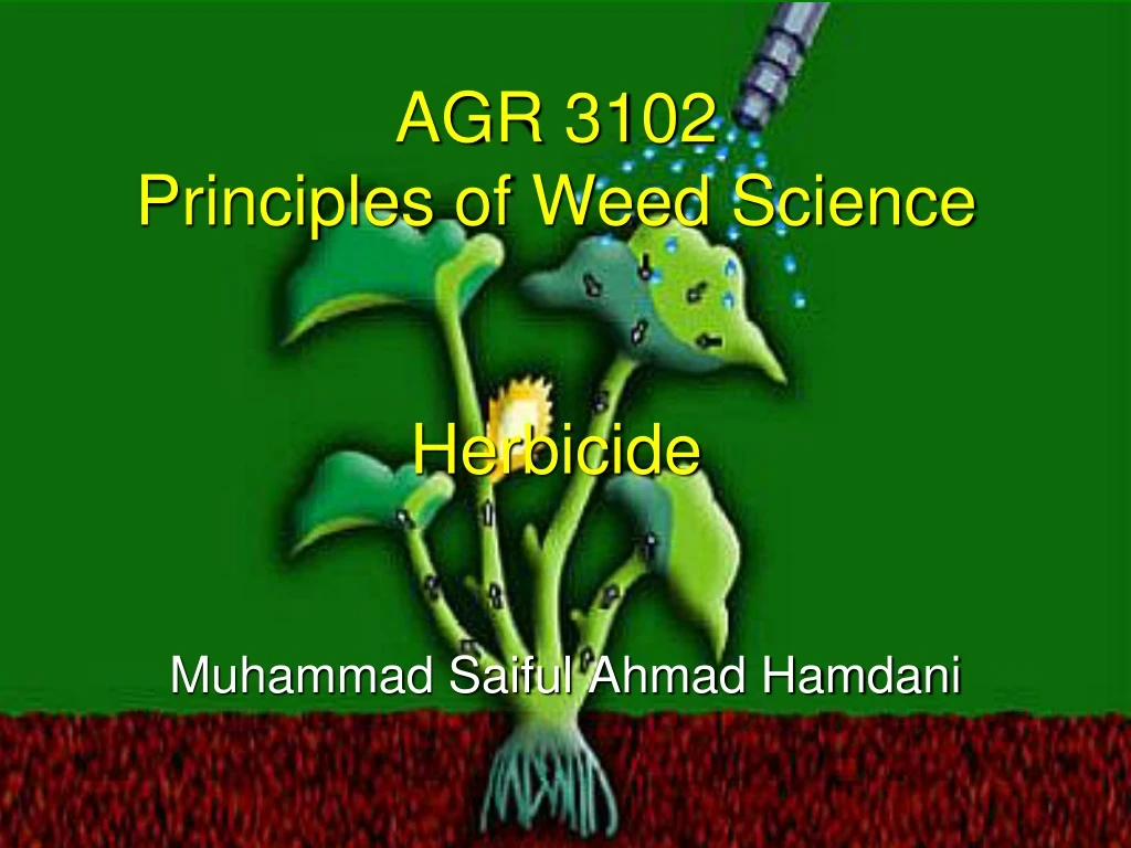 agr 3102 principles of weed science herbicide