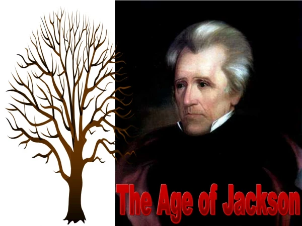 The Age of Jackson