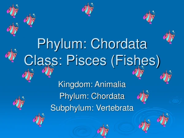 Phylum:  Chordata C lass: Pisces (Fishes)