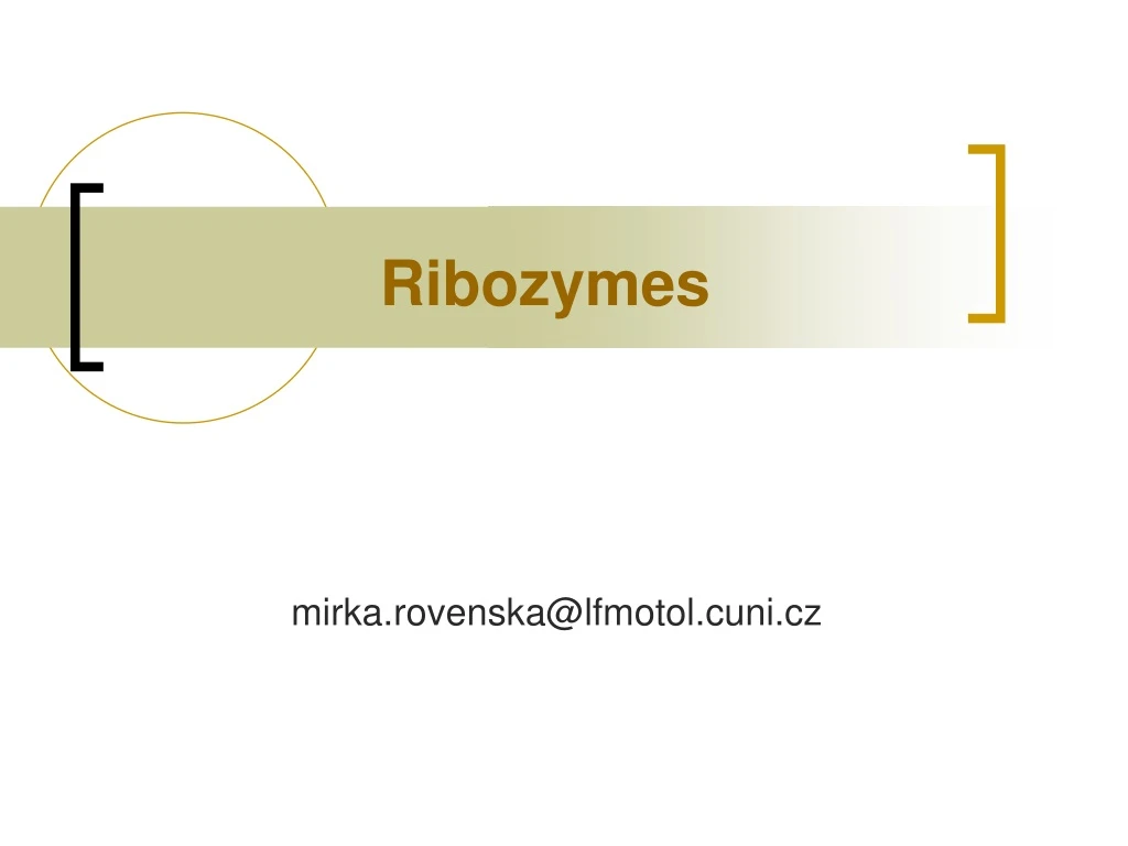 ribozymes