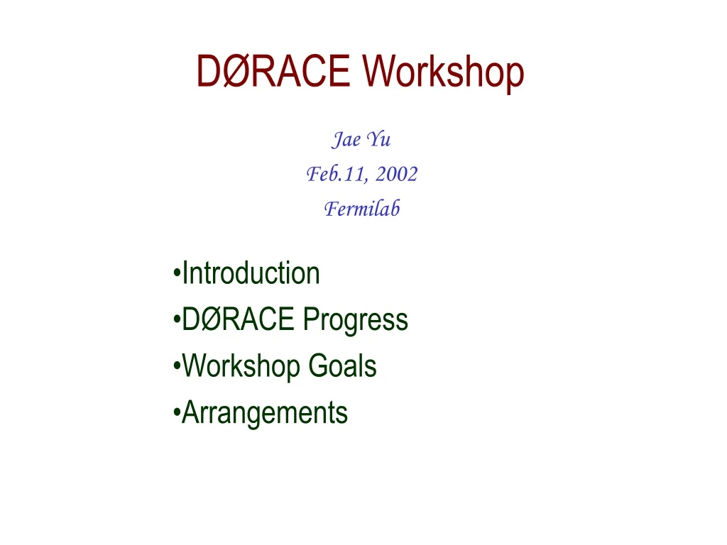 d race workshop