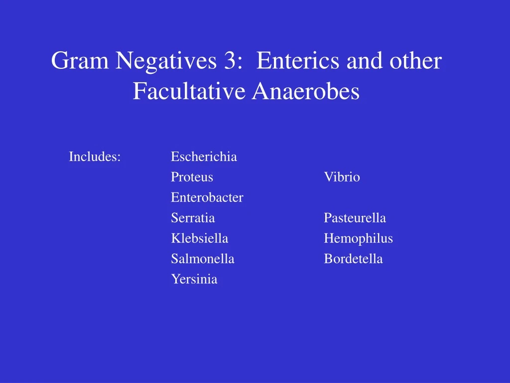 gram negatives 3 enterics and other facultative anaerobes