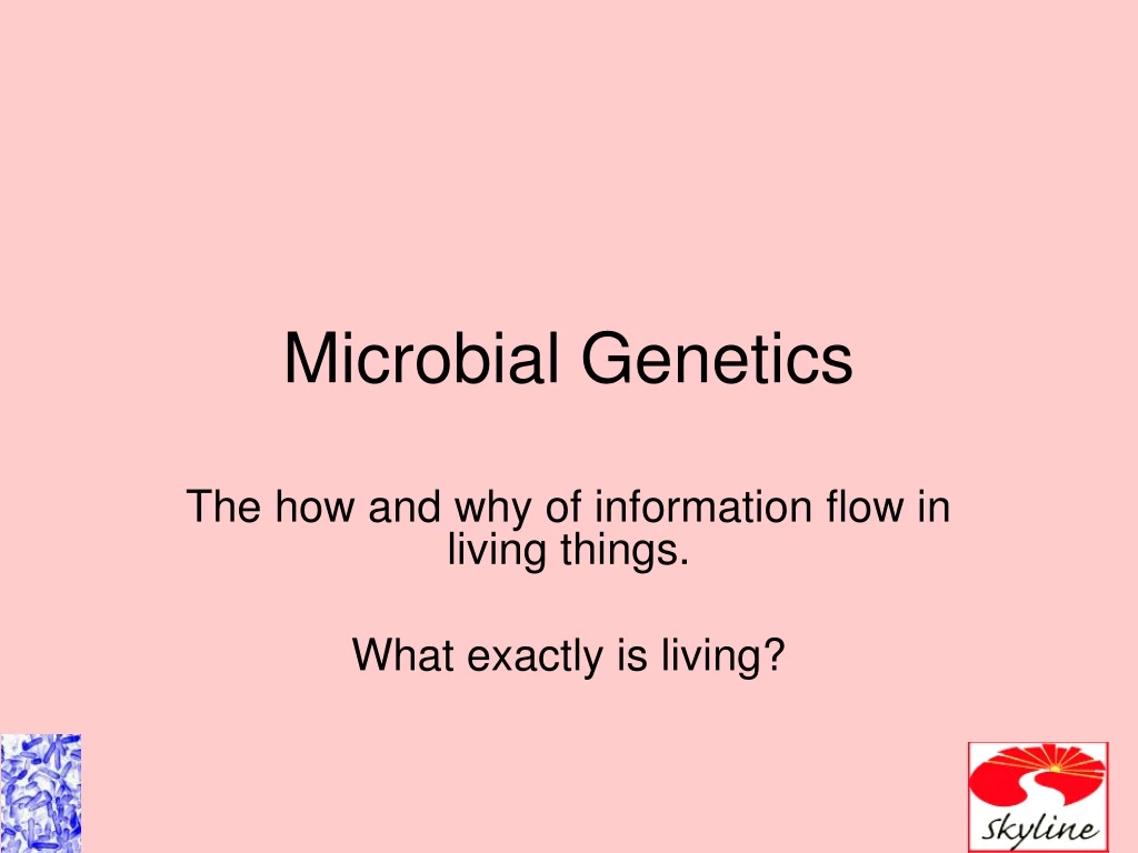 microbial genetics