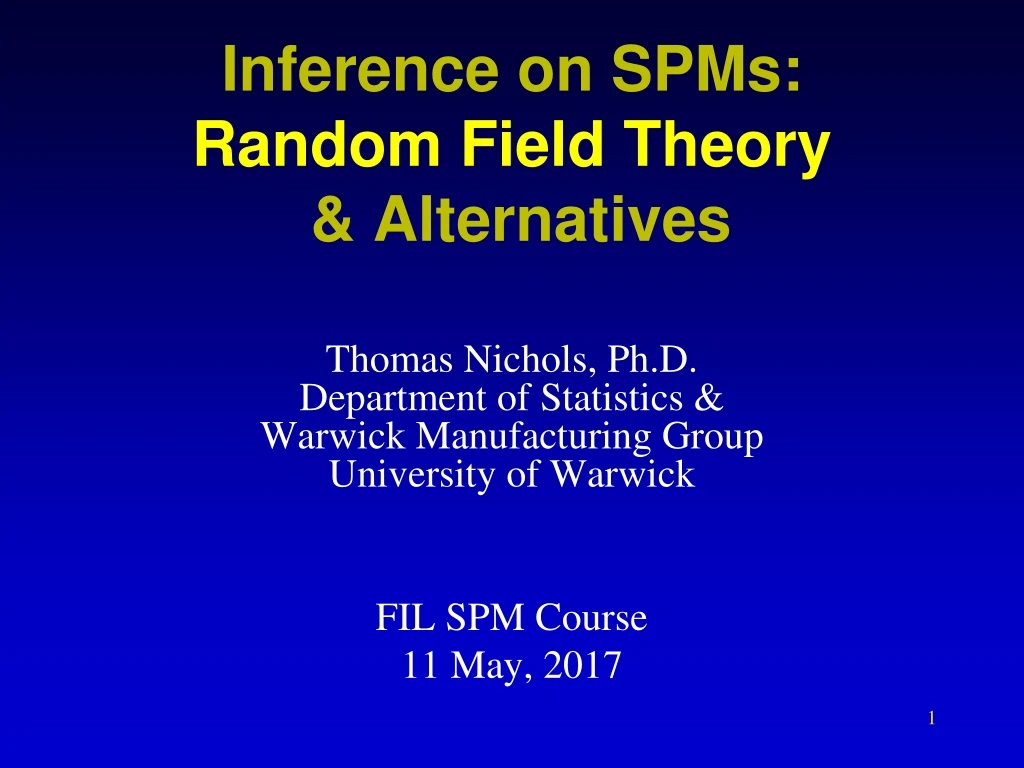 inference on spms random field theory alternatives