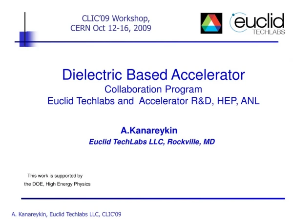 Dielectric Based Accelerator  Collaboration Program