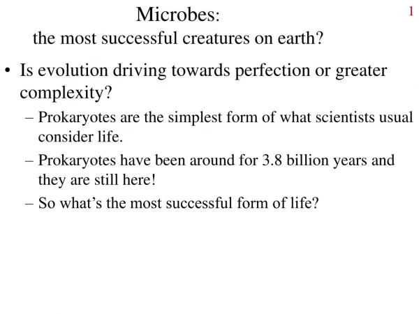 Microbes :  the most successful creatures on earth?