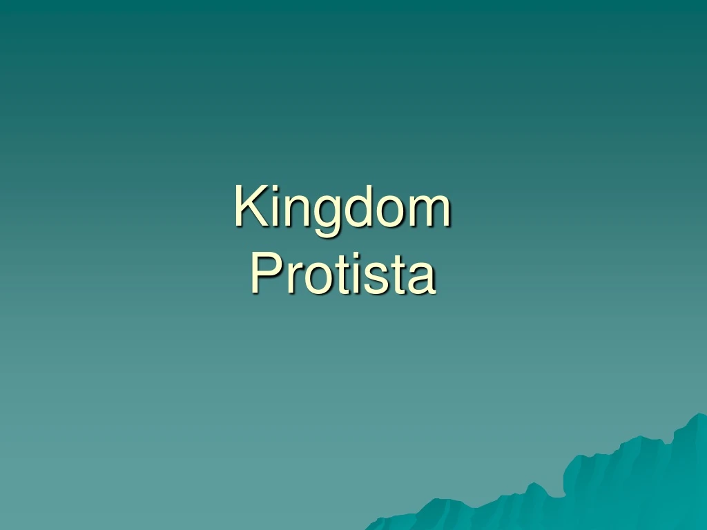 kingdom protista