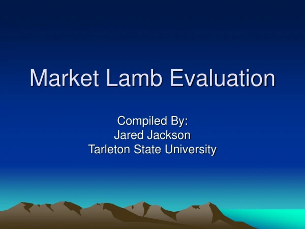 Market Lamb Evaluation