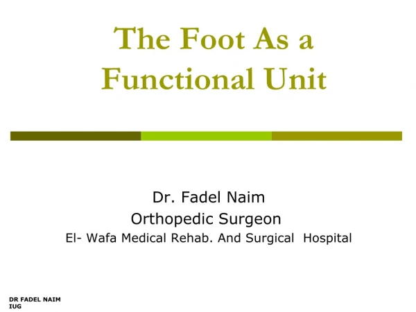 The Foot As a Functional Unit