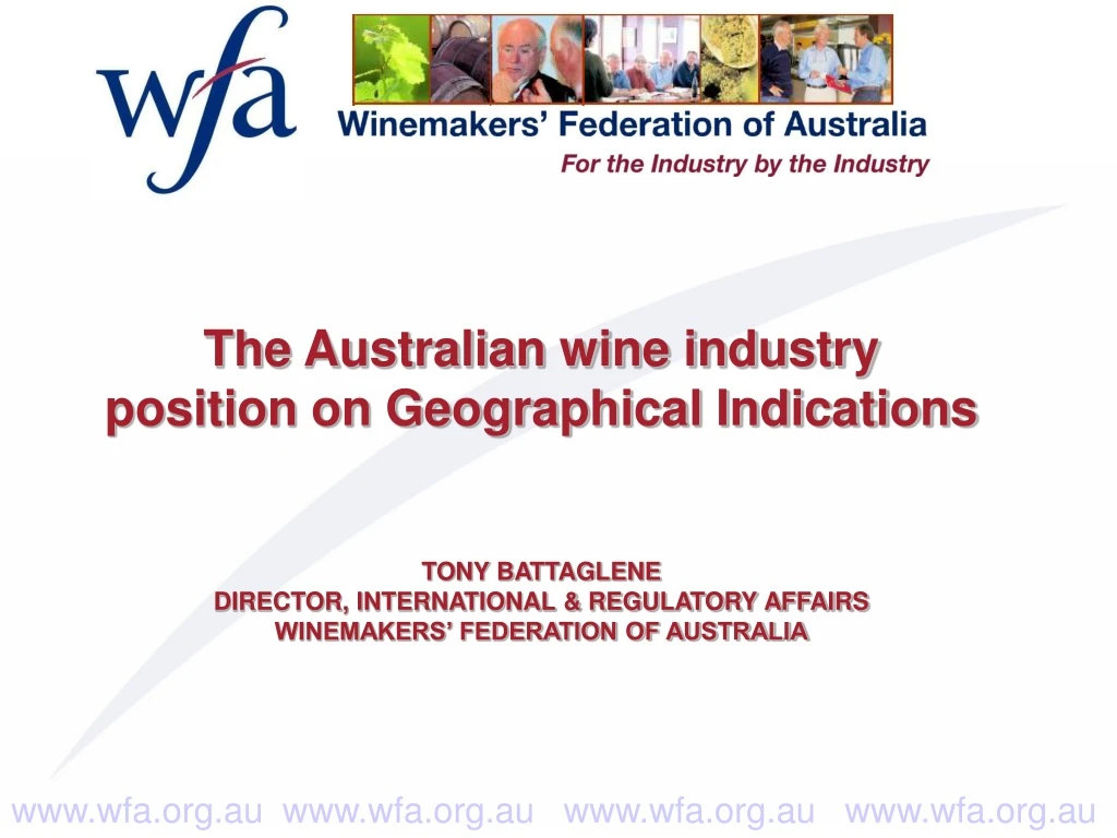 the australian wine industry position