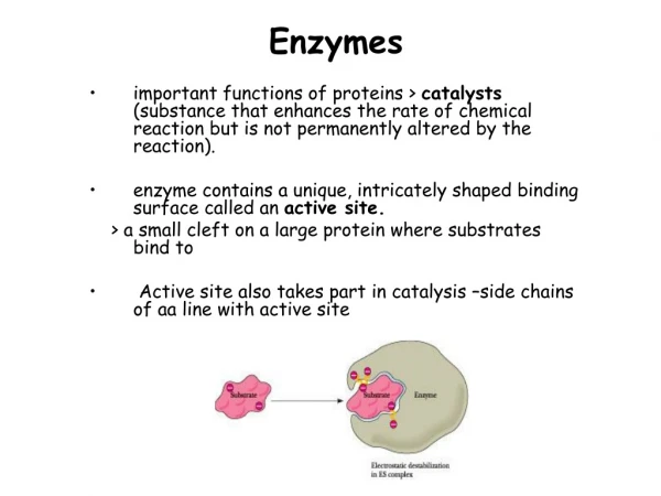 Enzymes