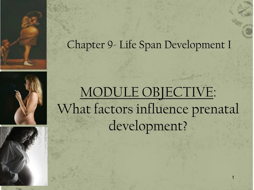 module objective what factors influence prenatal development