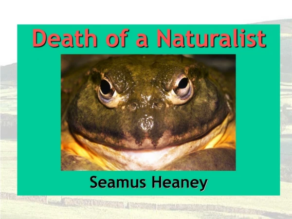 Death of a Naturalist Seamus Heaney