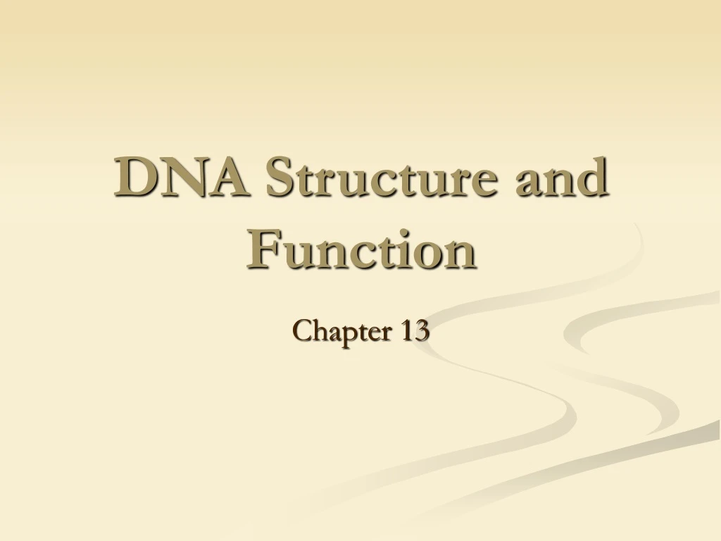 dna structure and function