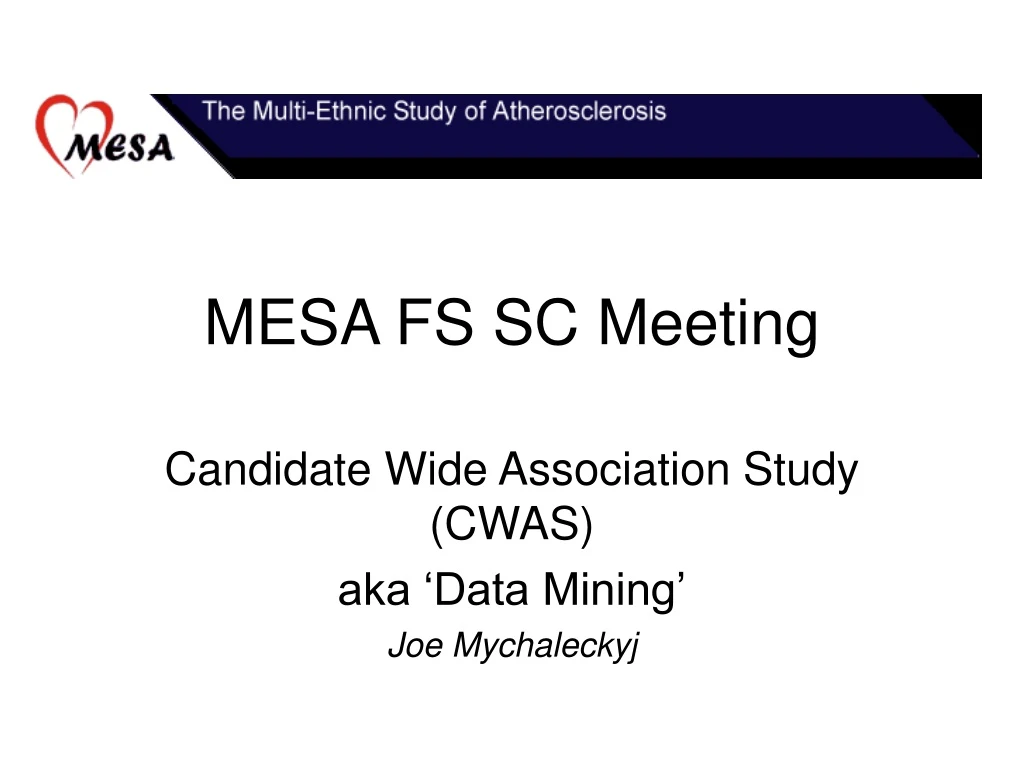 mesa fs sc meeting