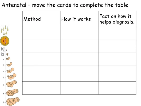 Antenatal – move the cards to complete the table