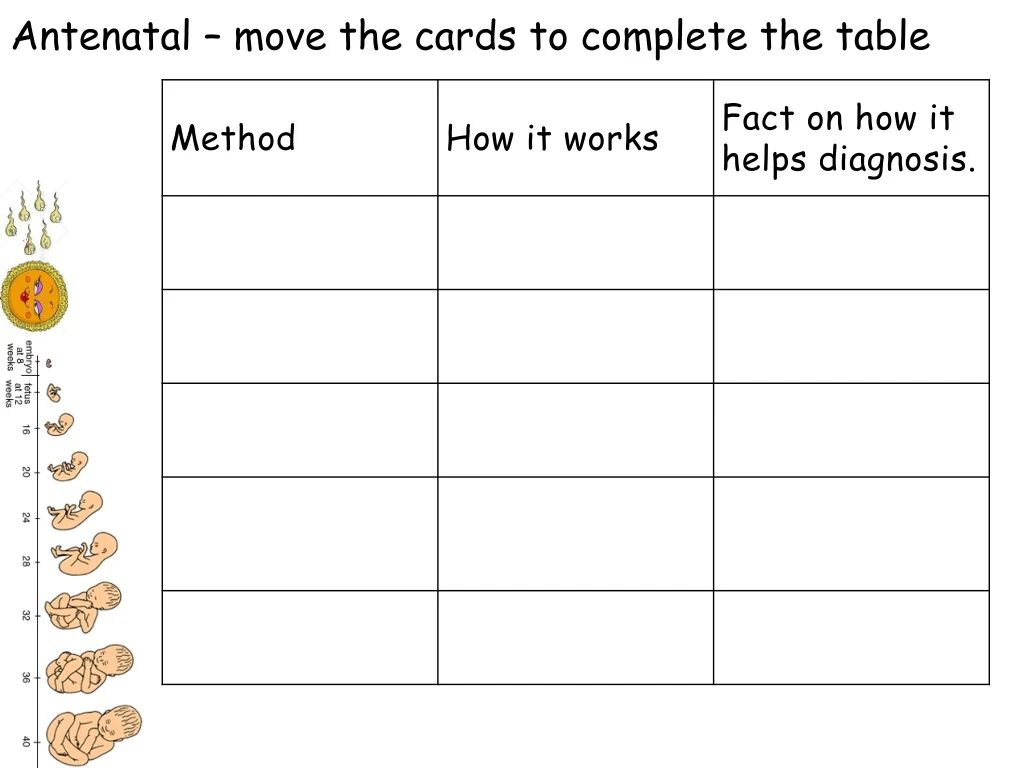 antenatal move the cards to complete the table