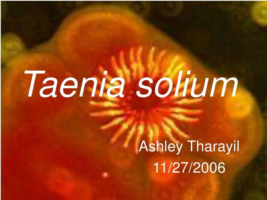 taenia solium