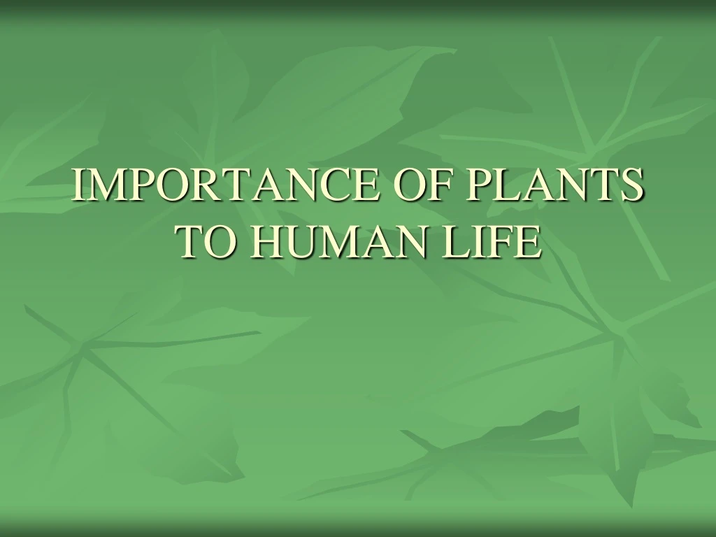 importance of plants to human life