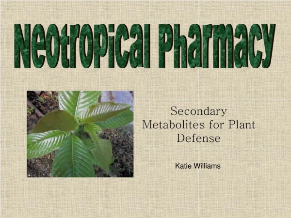 Neotropical Pharmacy
