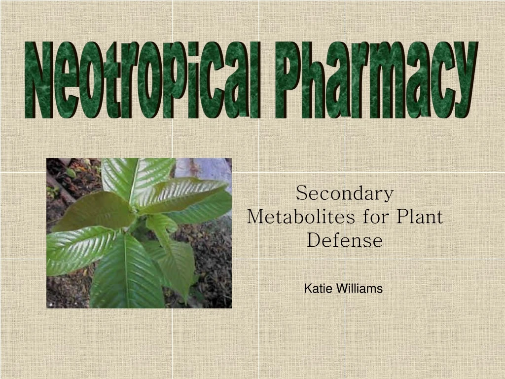 neotropical pharmacy