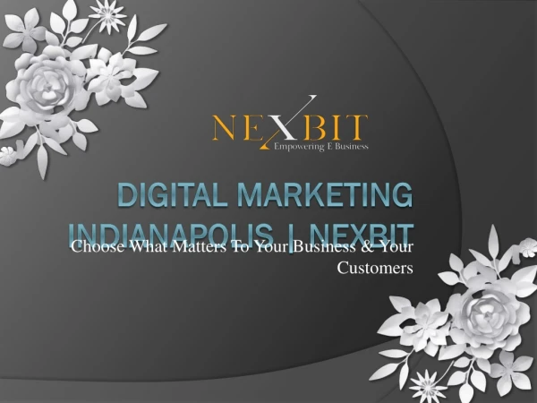 Leading Digital Marketing Agency Indianapolis | NexBit