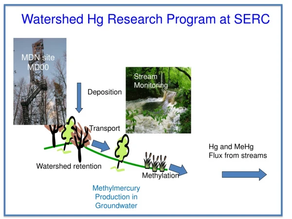 Methylmercury Production in Groundwater