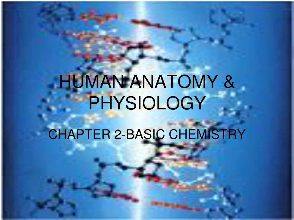 human anatomy physiology