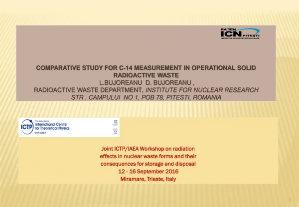 Joint ICTP/IAEA Workshop on radiation effects in nuclear waste forms and their