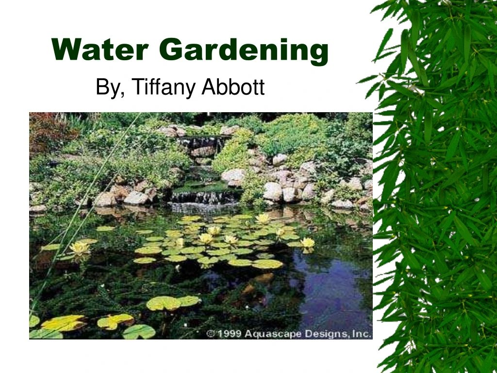 water gardening