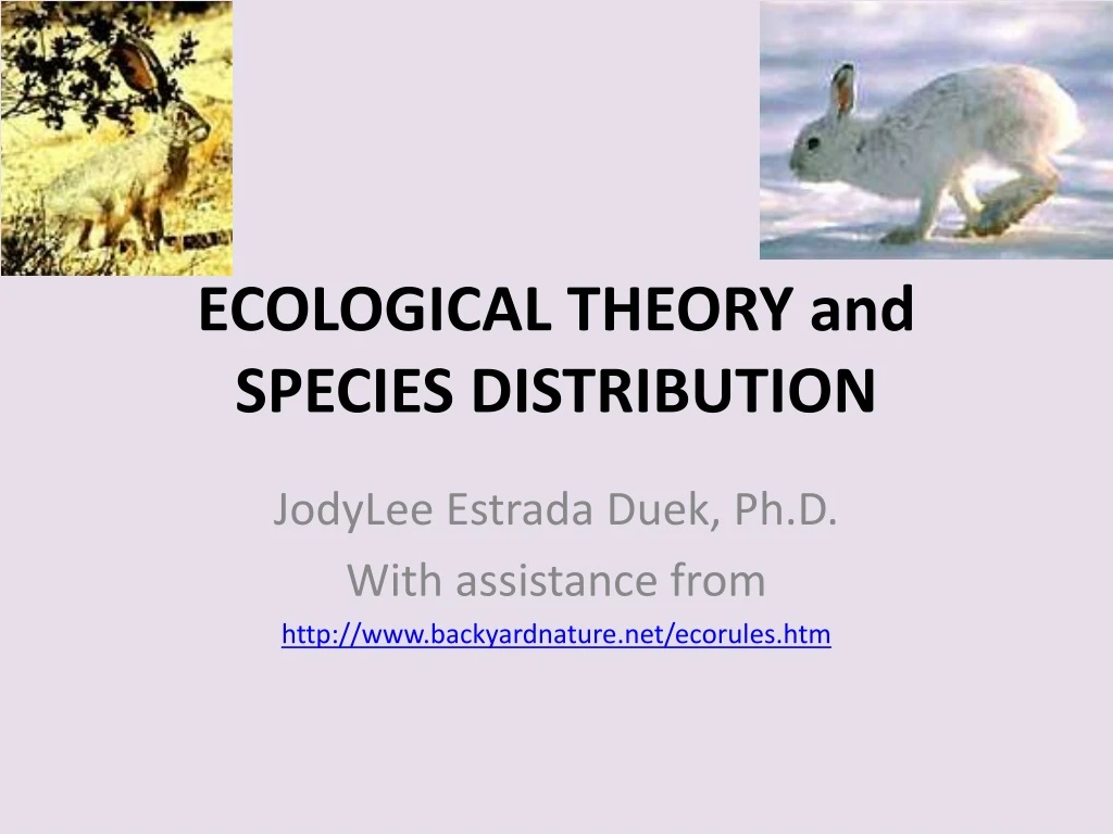 ecological theory and species distribution