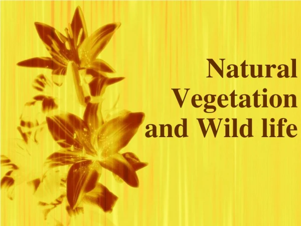 Natural  Vegetation and Wild life