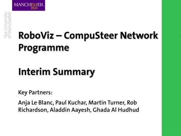 RoboViz – CompuSteer Network Programme Interim Summary