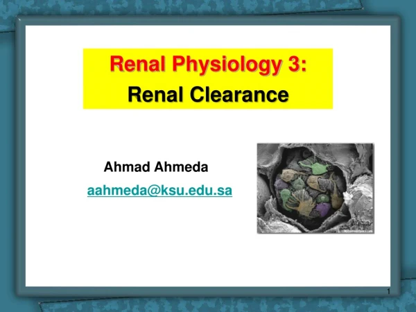 Renal Physiology 3: Renal Clearance